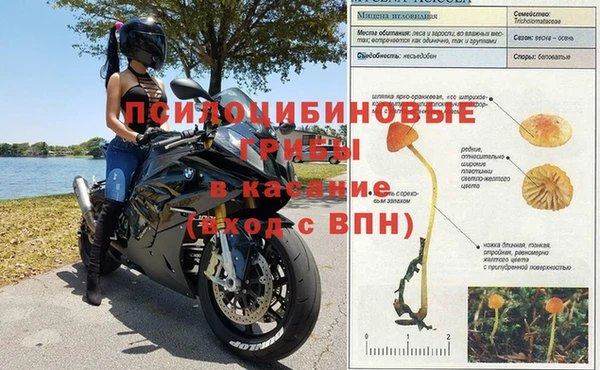 прущая мука Белокуриха