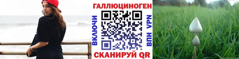 Галлюциногенные грибы GOLDEN TEACHER  Купить закладки  Бабушкин 
